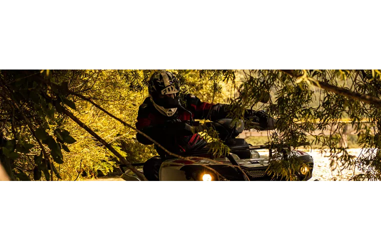 Access AMX 6.46 Basic 2017 Access AMX 6.46 Basic 2017